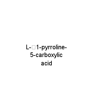 L-△1-pyrroline-5-carboxylic acid